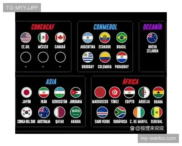 2026世界杯东道主历史淘汰赛成绩对比